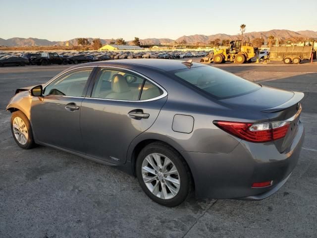 2013 Lexus ES 300H