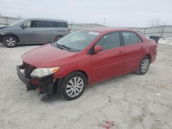 Salvage cars for sale from Copart Walton, KY: 2013 Toyota Corolla Base