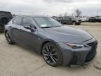 2023 Lexus IS 350 F Sport Design