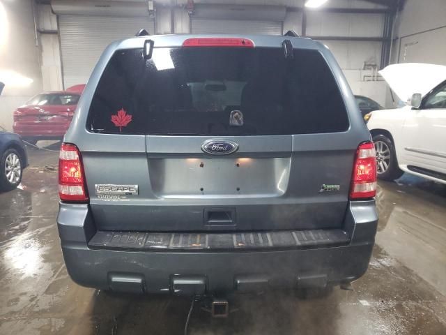 2010 Ford Escape XLT