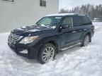 2011 Lexus LX 570