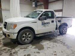 Ford salvage cars for sale: 2013 Ford F150