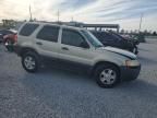 2003 Ford Escape XLT