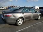 2007 Toyota Camry Hybrid