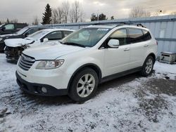 Subaru Tribeca salvage cars for sale: 2008 Subaru Tribeca Limited