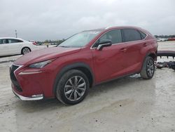 Lexus salvage cars for sale: 2017 Lexus NX 200T Base