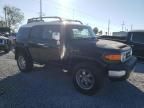 2007 Toyota FJ Cruiser