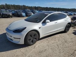 Salvage cars for sale at Harleyville, SC auction: 2023 Tesla Model 3