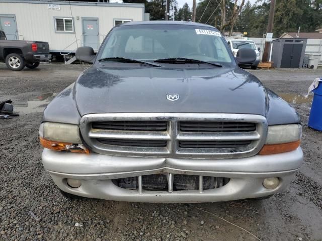 2003 Dodge Dakota SLT