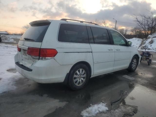 2010 Honda Odyssey EXL