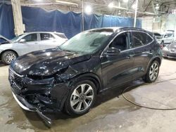 Ford Escape pla salvage cars for sale: 2023 Ford Escape Platinum