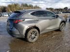 2024 Lexus NX 350H Base