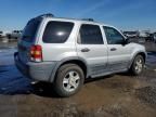 2002 Ford Escape XLT