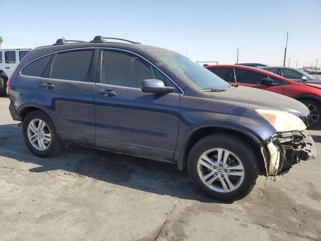 2010 Honda CR-V EXL