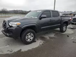 Salvage cars for sale at Lebanon, TN auction: 2023 Toyota Tacoma Double Cab