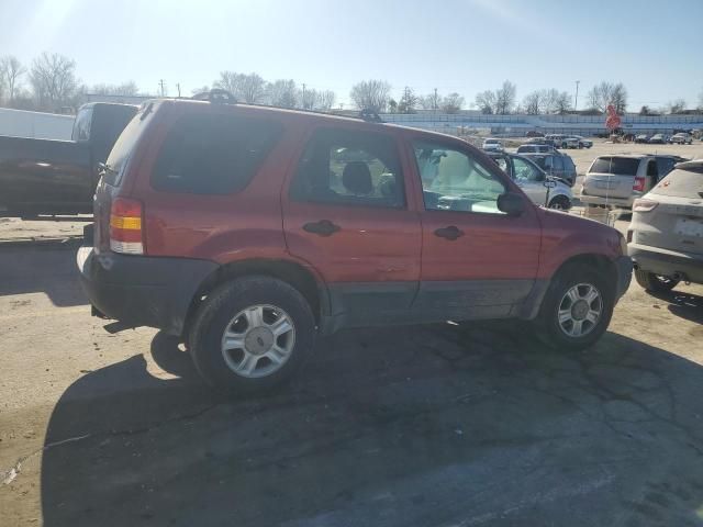 2004 Ford Escape XLT