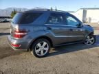 2010 Mercedes-Benz ML 350