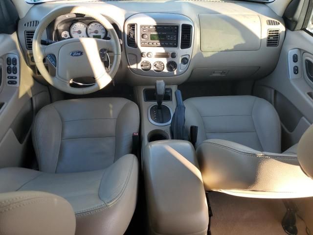 2007 Ford Escape XLT