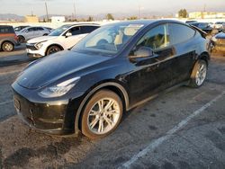 Tesla salvage cars for sale: 2023 Tesla Model Y