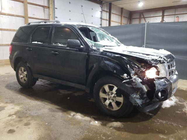 2010 Ford Escape Limited