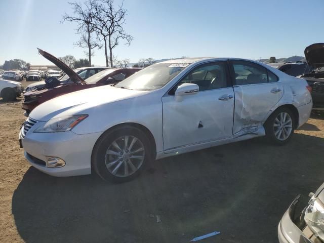 2010 Lexus ES 350