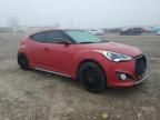 2014 Hyundai Veloster Turbo