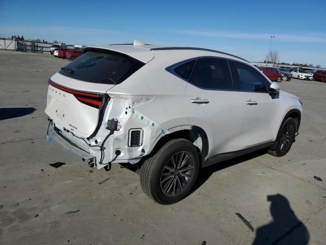 2024 Lexus NX 350H Base