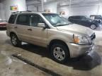 2005 Honda Pilot EX