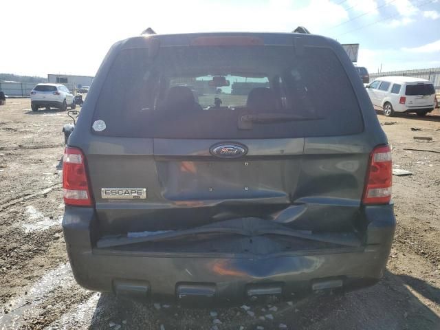 2008 Ford Escape XLT