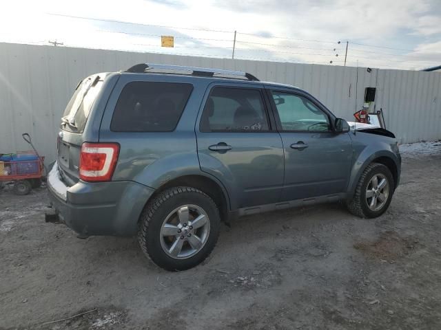 2011 Ford Escape Limited