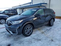 Honda crv Vehiculos salvage en venta: 2020 Honda CR-V EX