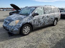 2010 Honda Odyssey EXL en venta en Antelope, CA