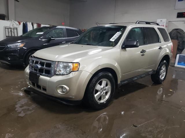 2012 Ford Escape XLT