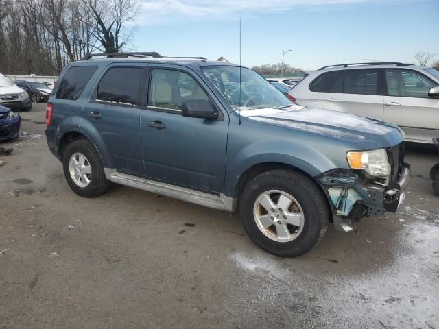 2011 Ford Escape XLT