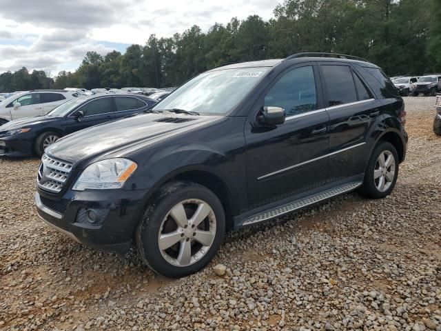 2010 Mercedes-Benz ML 350