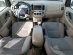 2003 Ford Escape XLT