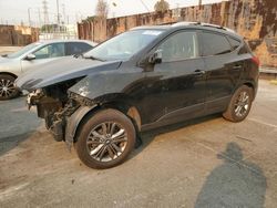 Salvage cars for sale at Wilmington, CA auction: 2015 Hyundai Tucson Limited