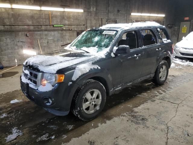 2009 Ford Escape XLT