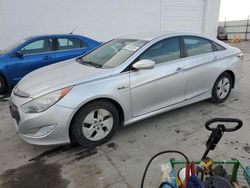 Hyundai Sonata salvage cars for sale: 2011 Hyundai Sonata Hybrid