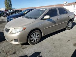 Salvage cars for sale at North Las Vegas, NV auction: 2010 Toyota Corolla Base