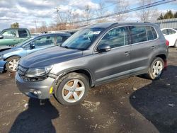 Salvage cars for sale at New Britain, CT auction: 2015 Volkswagen Tiguan S