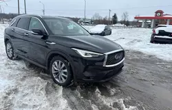 Salvage cars for sale at Cookstown, ON auction: 2019 Infiniti QX50 Essential