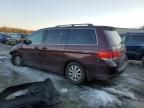 2010 Honda Odyssey EX