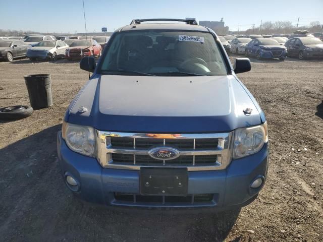 2009 Ford Escape XLT