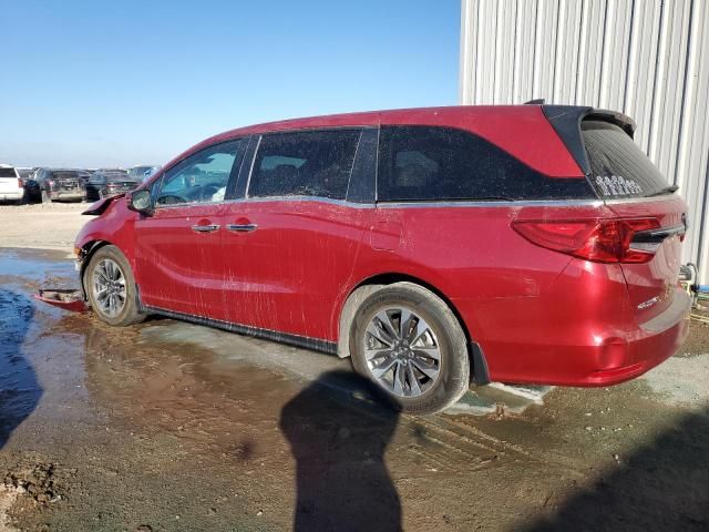 2023 Honda Odyssey EXL