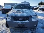 2007 Ford Escape XLT