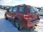 2008 Ford Escape XLS