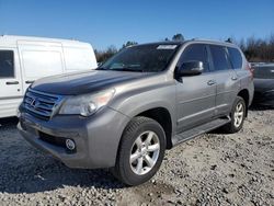 Salvage cars for sale from Copart Memphis, TN: 2013 Lexus GX 460