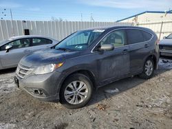 Honda salvage cars for sale: 2014 Honda CR-V EX