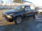 2003 Dodge Dakota RT